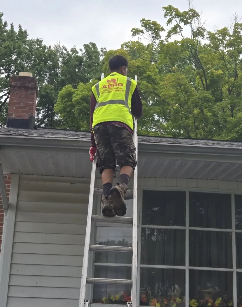 thumbnail5+website1-1920w